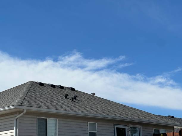 Trusted Melissa, TX Roofing Experts